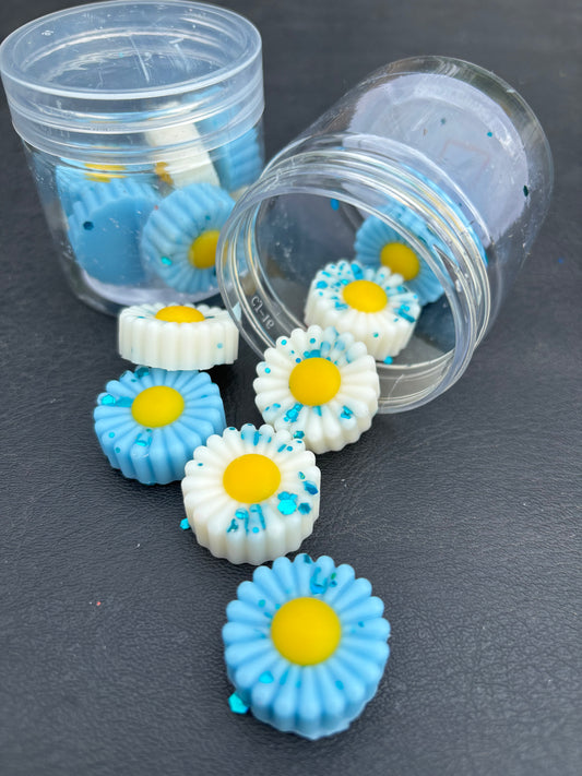 Daisy pots 🌼