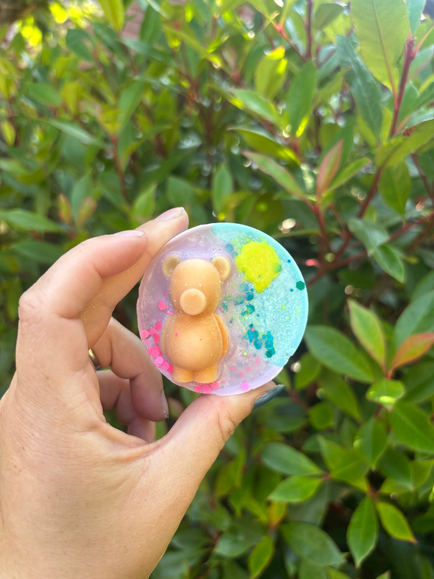 Teddy in the sun 🐻☀️