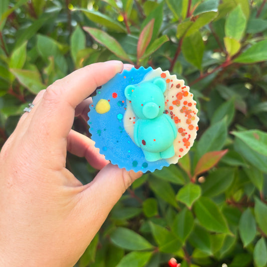 Teddy in the sun 🐻☀️