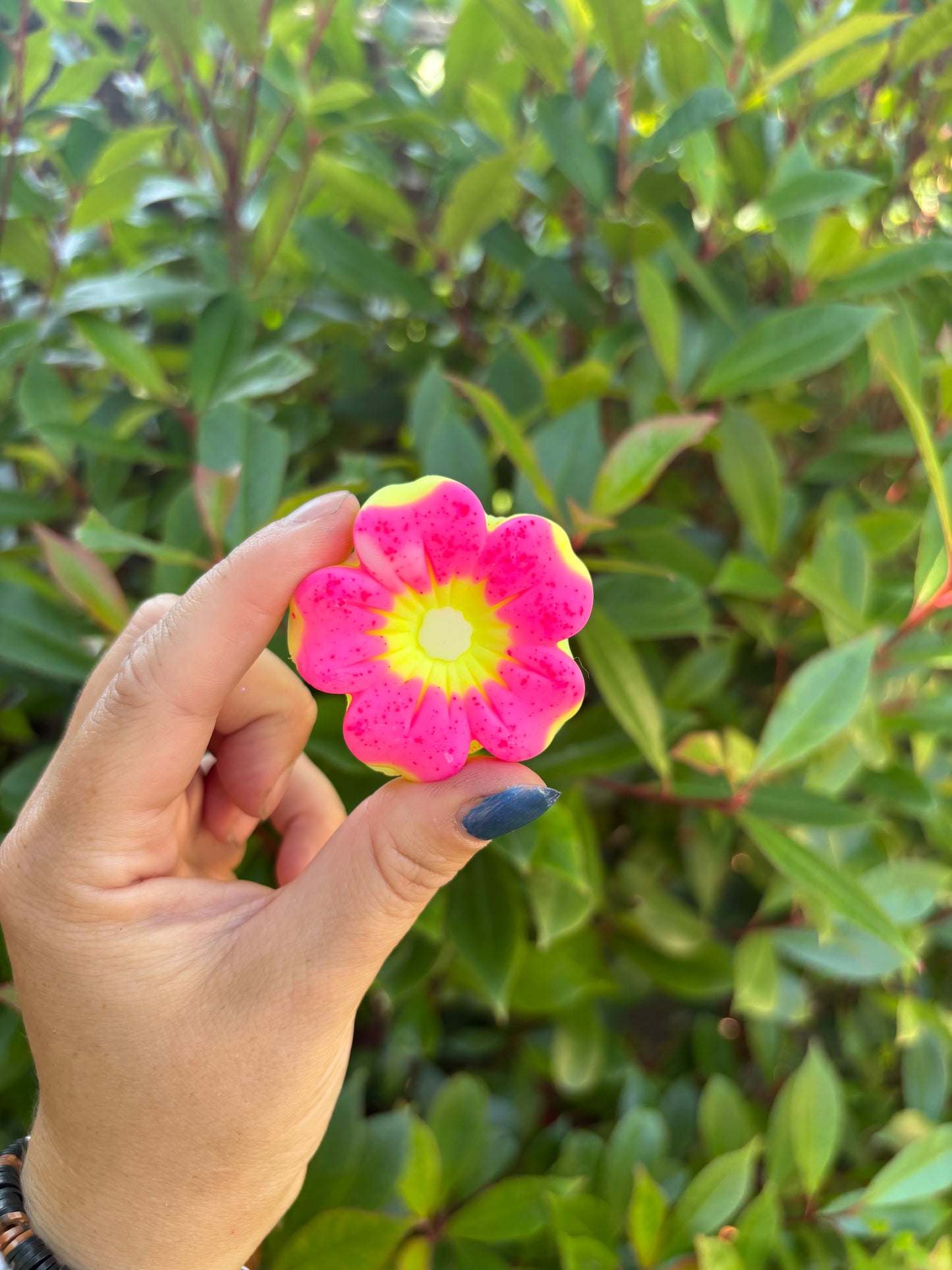 Hibiscus flower
