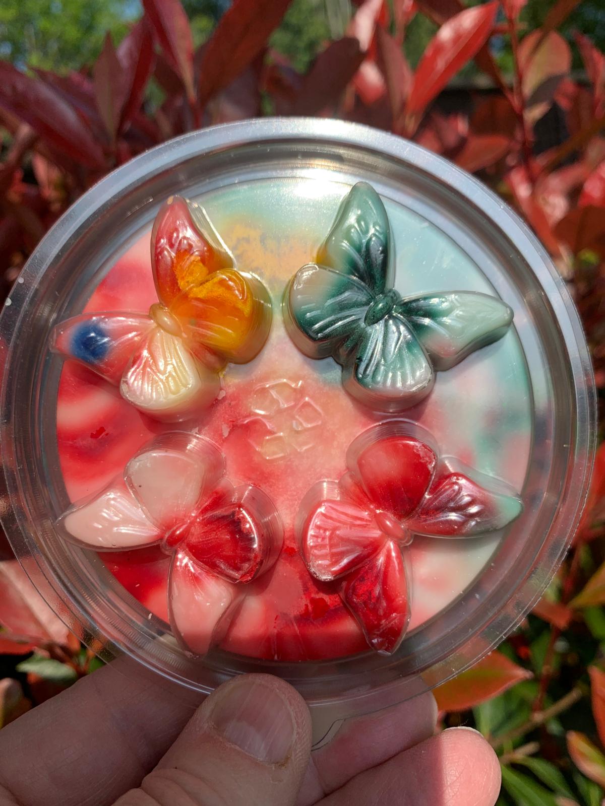 Butterfly Clamshells🦋