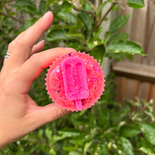 Ice lolly pots